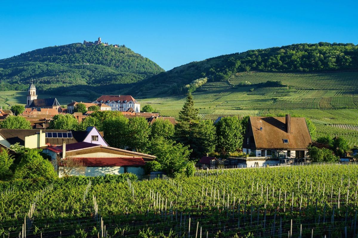 Marche de l'ANR-68 à Saint-Hippolyte