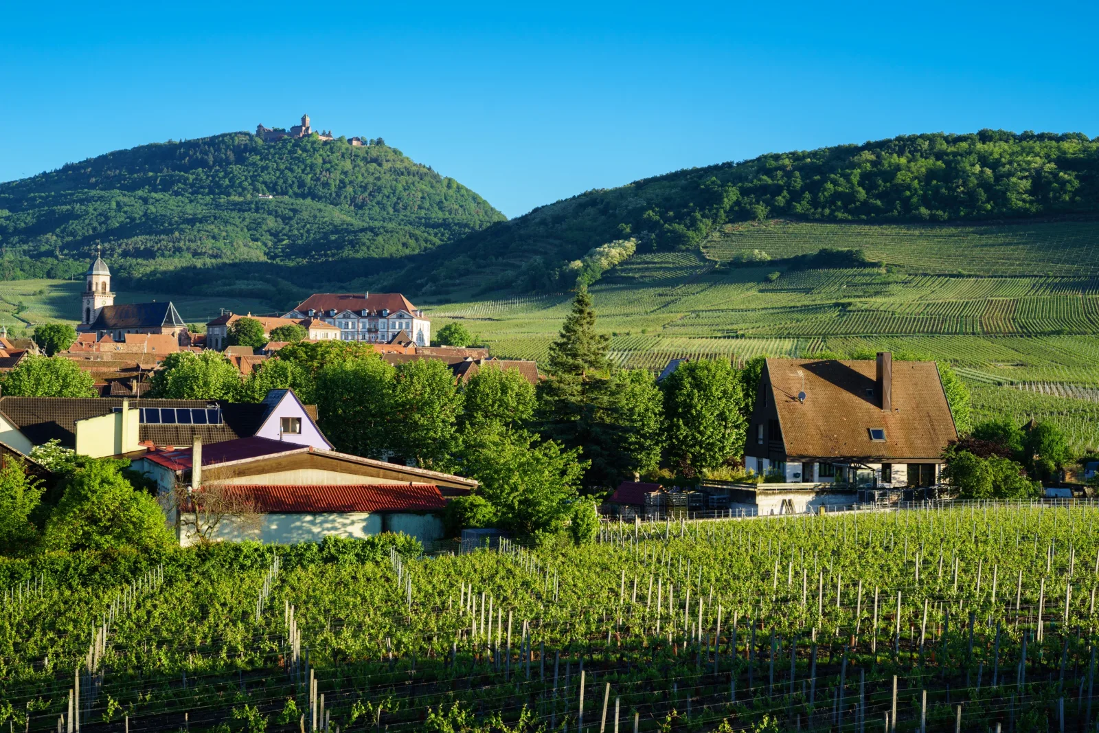Marche à St Hyppolyte